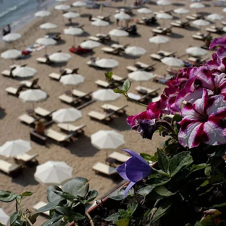 Oasis Vip Club Apartmán Sluneční pobřeží