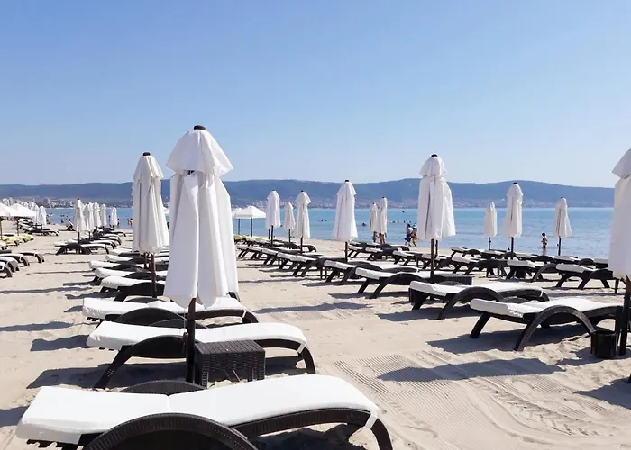 Oasis Vip Club Sunny Beach